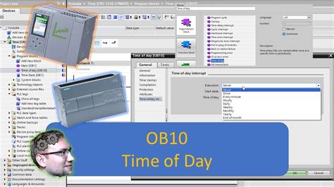 Обрезка живой изгороди уход за кустарниками стрижка кустарников